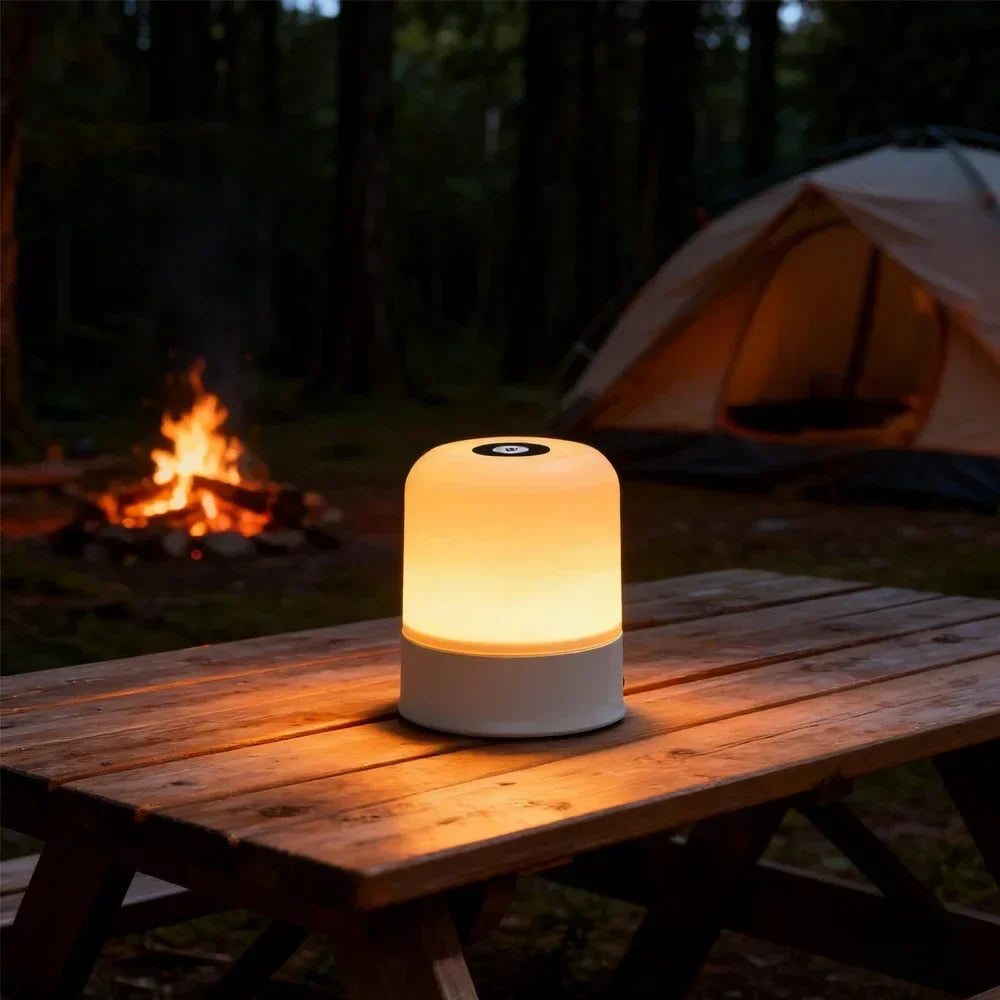 Dimmable Bedside Night Light, Plug-In or Rechargeable