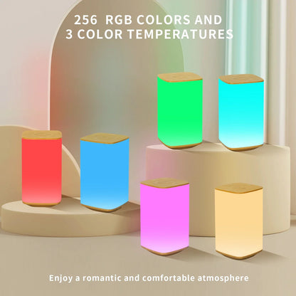 Touch and Remote Night Light, USB Rechargeable, 2W